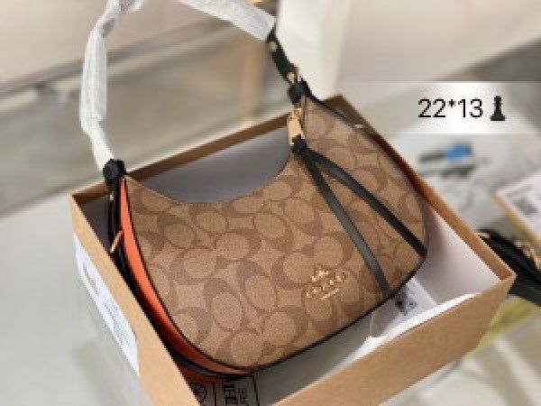Coaach kleo hobo bag in signature canvas bag with box
