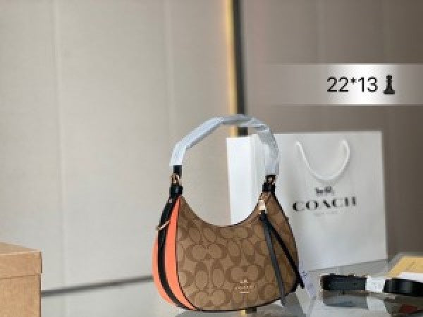 Coaach kleo hobo bag in signature canvas bag with box