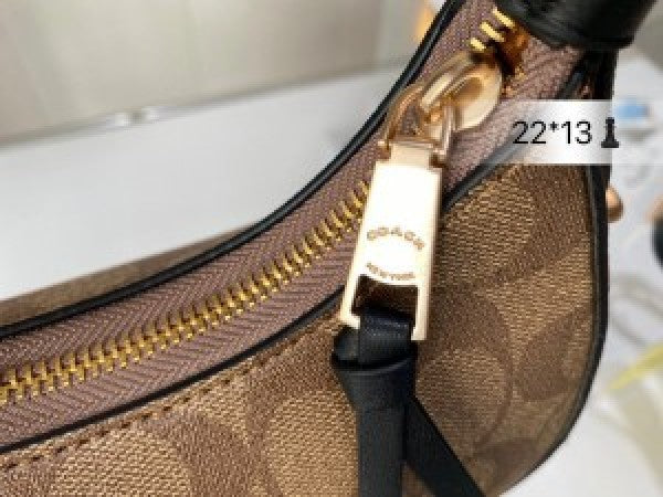 Coaach kleo hobo bag in signature canvas bag with box