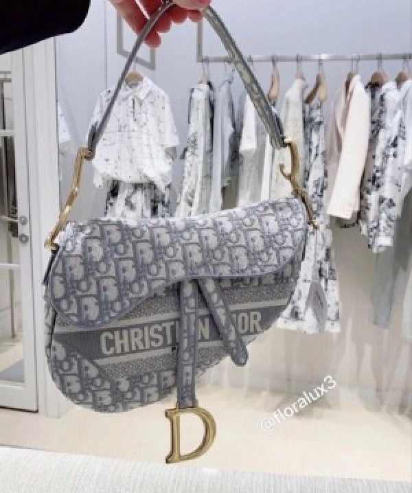 Chriistian Diior SADDLE WITH OG BOX