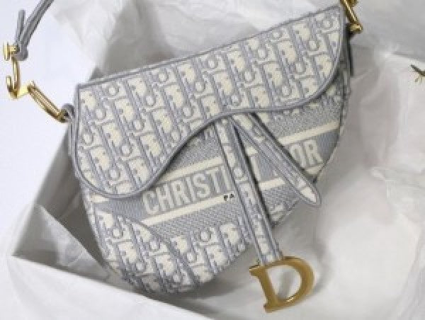 Chriistian Diior SADDLE WITH OG BOX