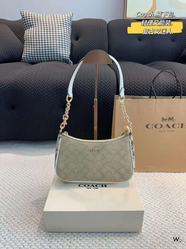 Coaach teri shoulder bag in signature canvas bag with box