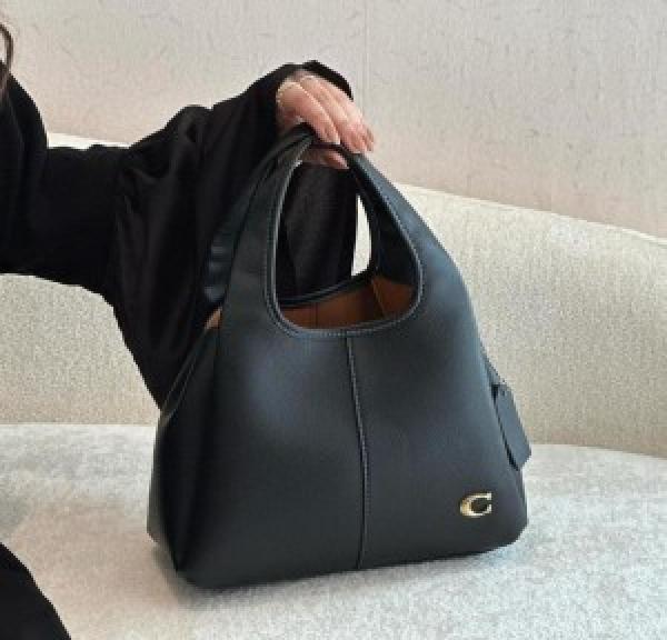 Coaach lana hobo sling bag premium quality with box