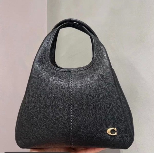 Coaach lana hobo sling bag premium quality with box