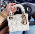 Chriistian DIIOR LADY BAG WITH BRAND BOX