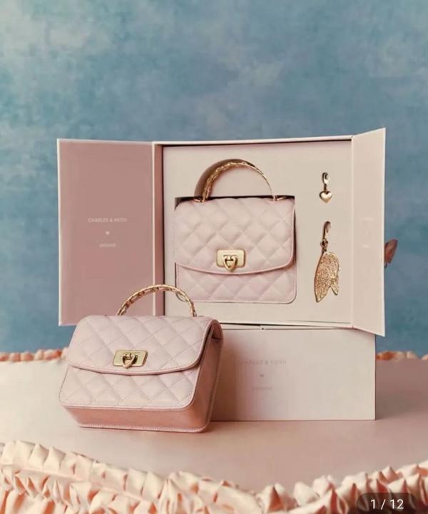 CHARLEES & KEITH HOBO BAG WITH OG BOX