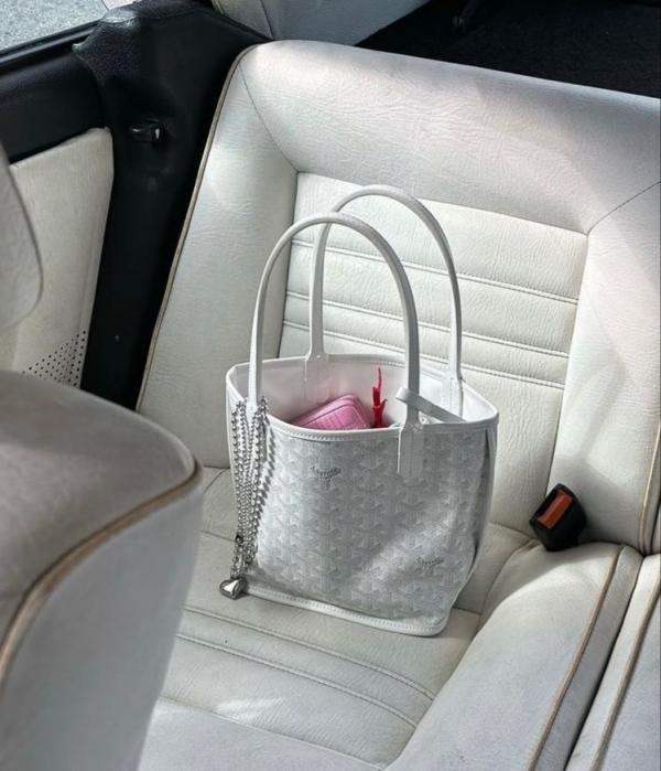 Goyarrd Anjou Mini Tote With Wallet & DustCover