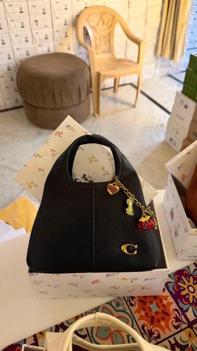 Coaach lana hobo sling bag with charm and premium quality with box