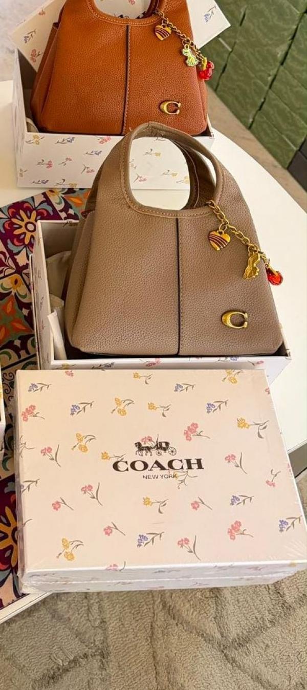 Coaach lana hobo sling bag with charm and premium quality with box