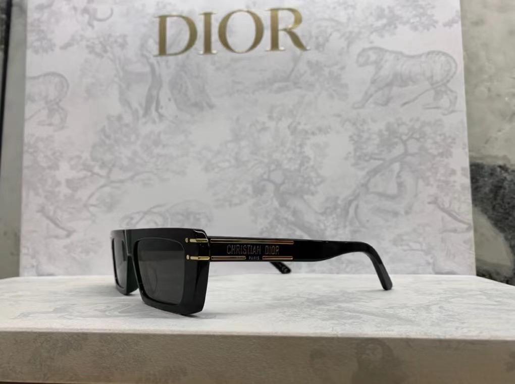 Diior DSGTS2UXR Sunglasses