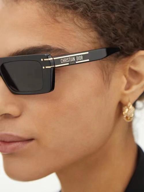 Diior DSGTS2UXR Sunglasses
