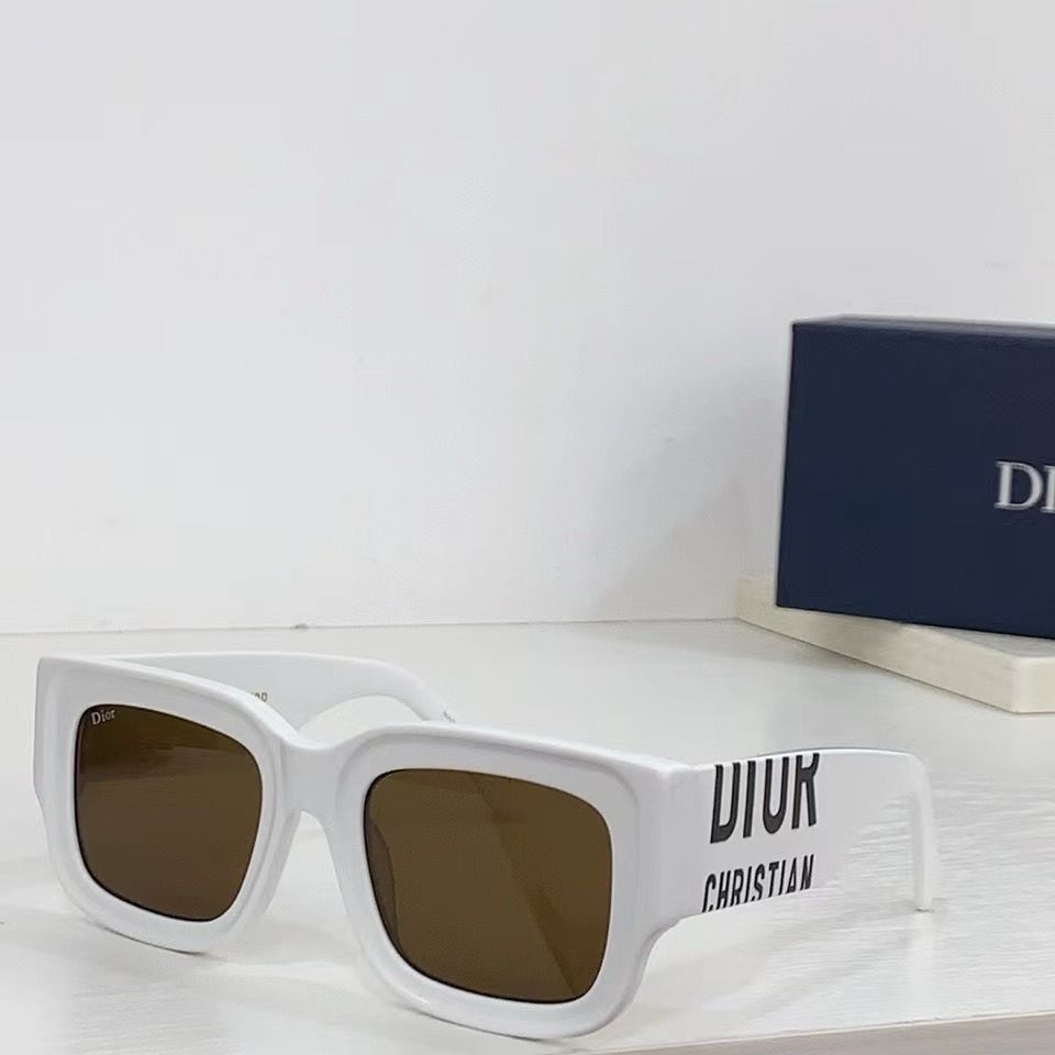 Diior DSGTA8UCR Sunglasses
