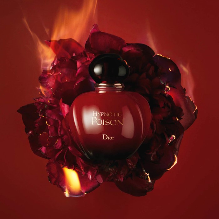 Chriistian Diior Hypnotic Poison Eau De Parfum For Women